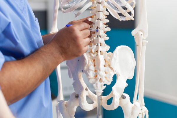 Close up of nurse showing spine bones on human skeleton for diagnosis presentation of senior patient. Medical assistant explaining spinal cord to old man for physical recovery and remedy